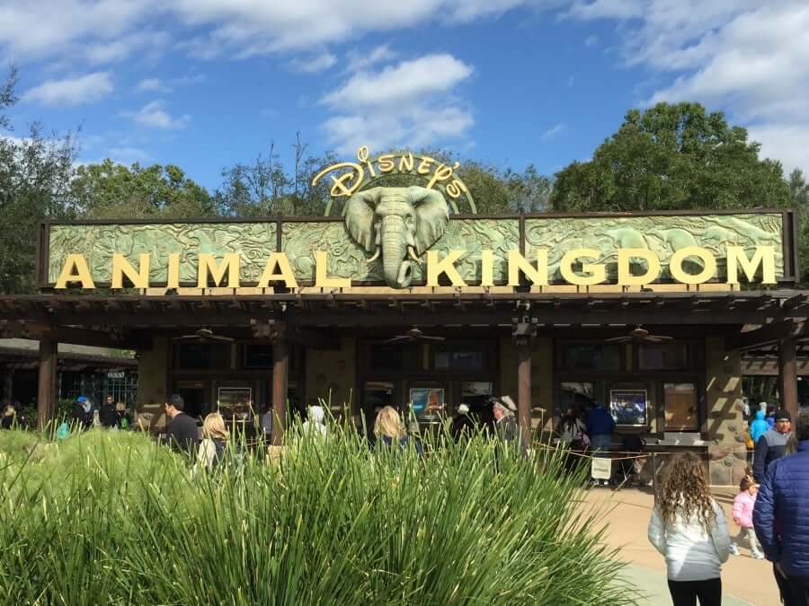 The Best Vegan Dining Options in Animal Kingdom at Disney World