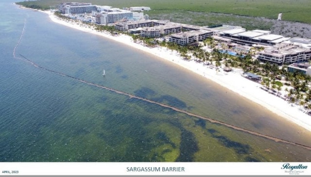Sargassum Barrier at Royalton Riviera Cancun & Royalton Splash