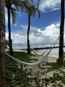 Beachfront Hammocks at Impression Moxche