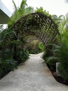 Impression Moxche & Secrets Moxche Tree Root Tunnels