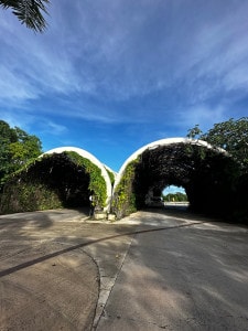 The Entrance To Caracol - On The Way To Secrets Moxche & Impression Moxche