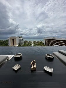 Preferred Observatory Rooftop Pool at Secrets Moxche