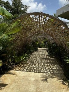 Impression Moxche & Secrets Moxche Tree Root Tunnels