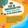 Top 10 Sargassum Free Water Activities in the Riviera Maya